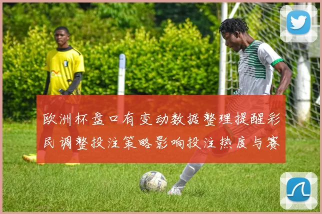 欧洲杯盘口有变动数据整理提醒彩民调整投注策略影响投注热度与赛果判断