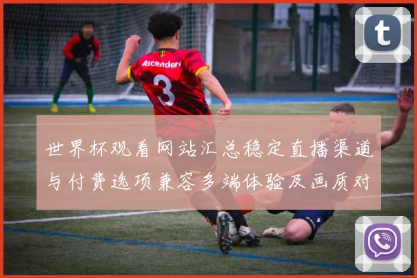 世界杯观看网站汇总稳定直播渠道与付费选项兼容多端体验及画质对比